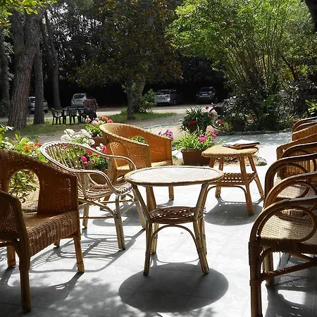 Hotel Elena Forte dei Marmi